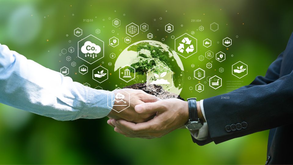 Beratung bis zur Zertifizierung